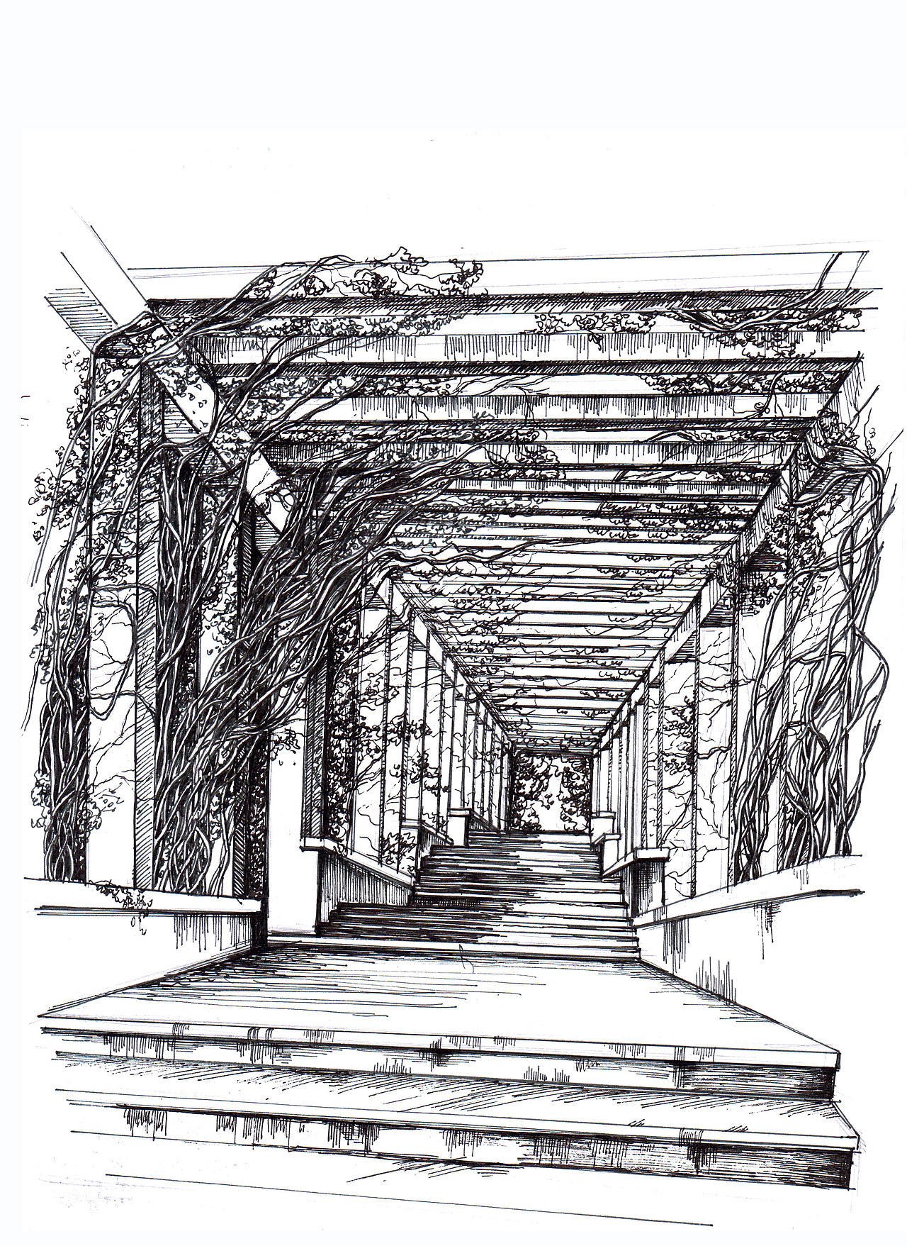 校园一角我熟悉的环境