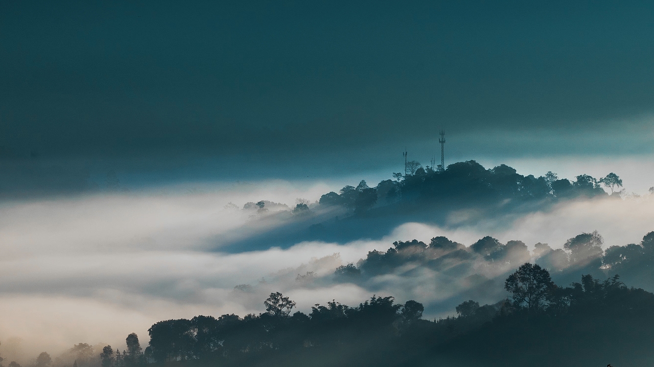 吉光凤羽 普洱茶广告片
