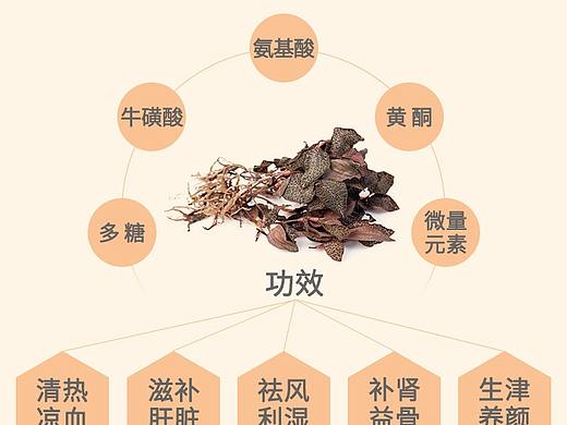 金线莲