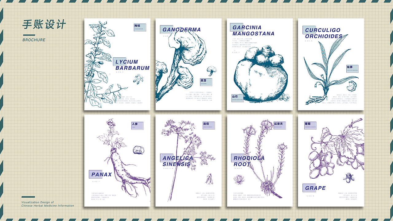 知百草——信息可视化设计（图ZMTk3MjgwNTE2） - 信息图表 - 站酷设计师山崗不晃原创素材 - 站酷ZCOOL