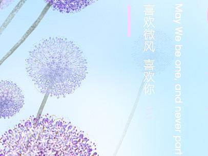 海报