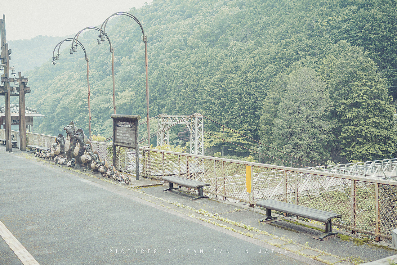 独自一人初涉日本,为期12天的自由行——京都篇(4)