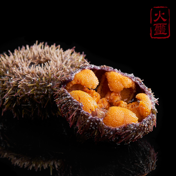 banner文字圖形排版