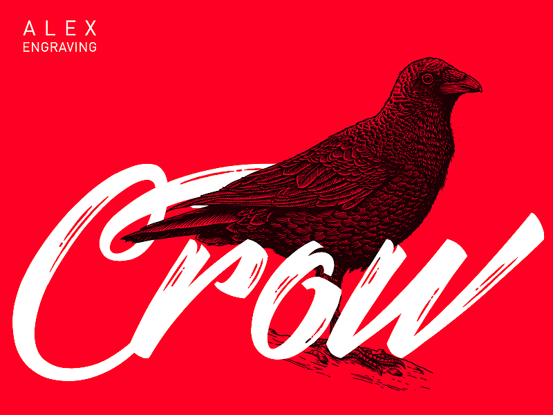 版画 - 乌鸦（图ZMTEwNzM3Nzky） - 商业插画 - 站酷设计师花椒的Alex原创素材 - 站酷ZCOOL