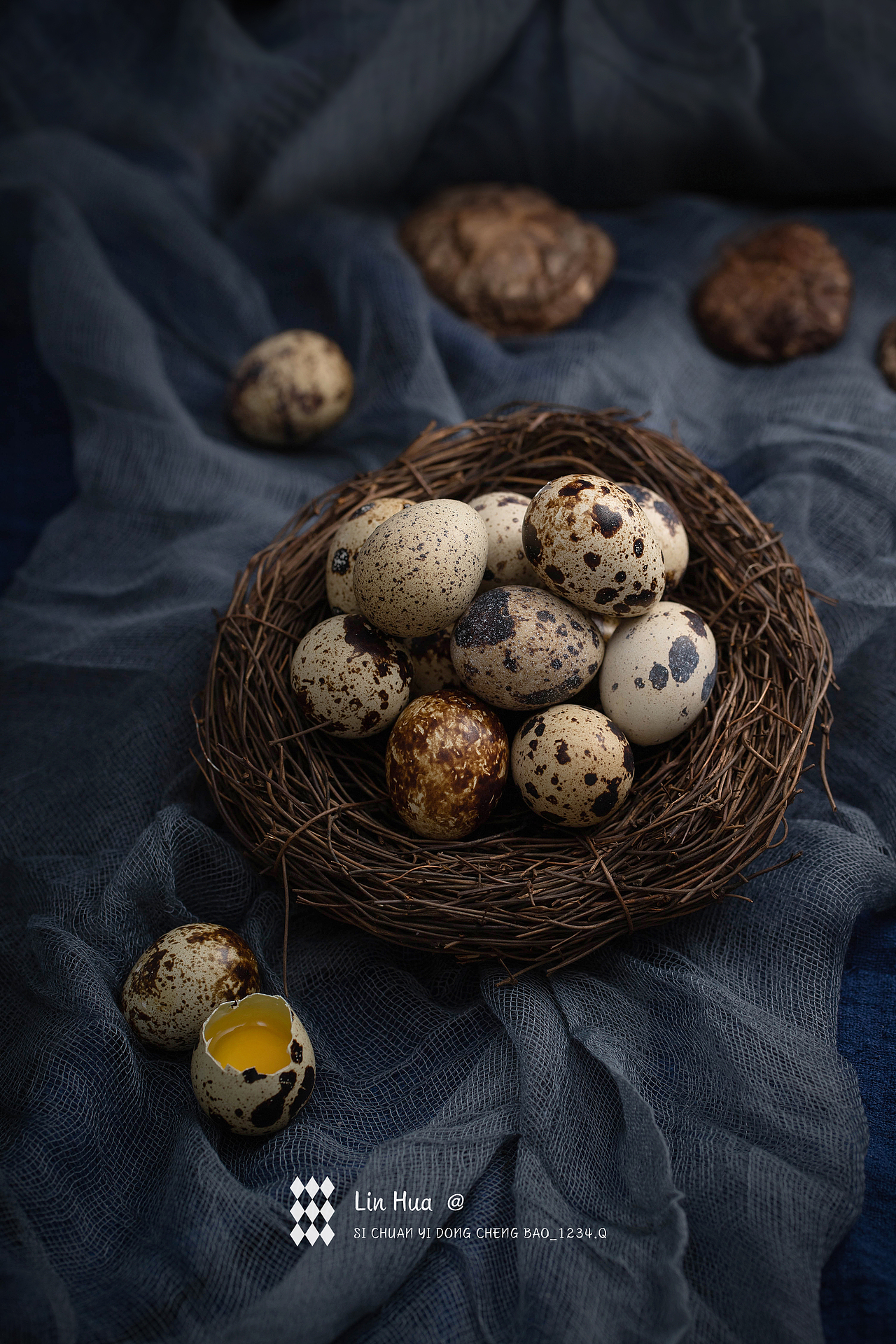 四川移动城堡✖️静物摄影✖️鹌鹑蛋