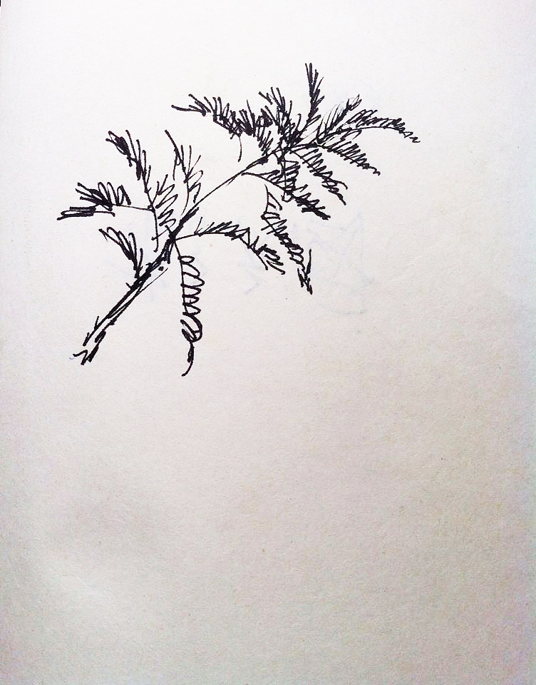 小童玉峰玉山速写20年前的作品其美多吉帕隆渡翁原创（图ZMjA1NDM5OTMy） - 绘画 - 站酷设计师彭庆国一玉山入画原创素材 - 站酷ZCOOL