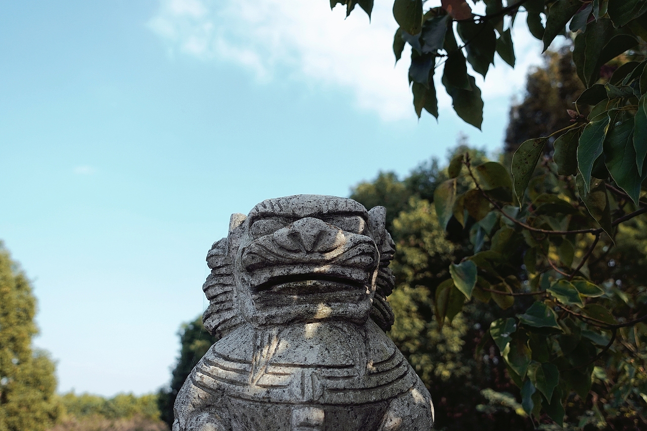 同里湿地公园