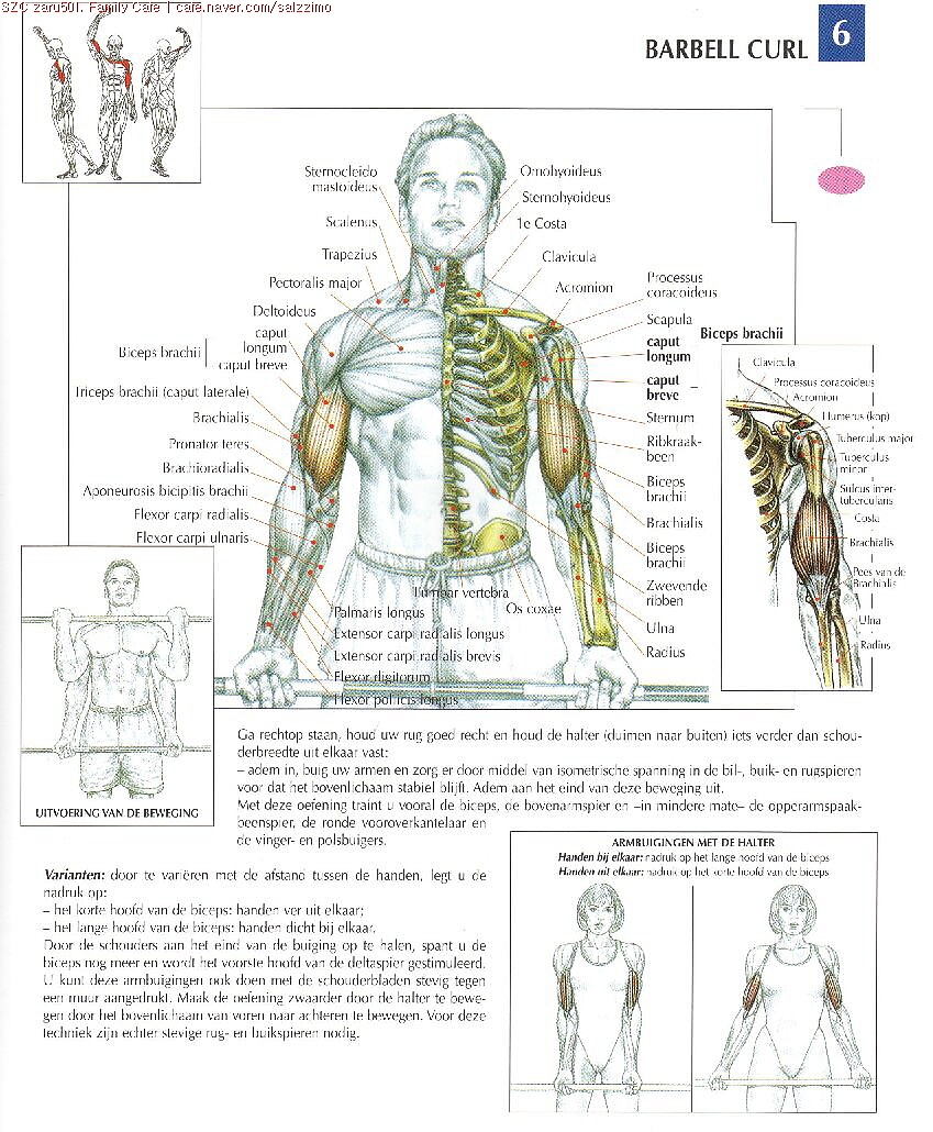 人体运动与肌肉关系-手绘稿