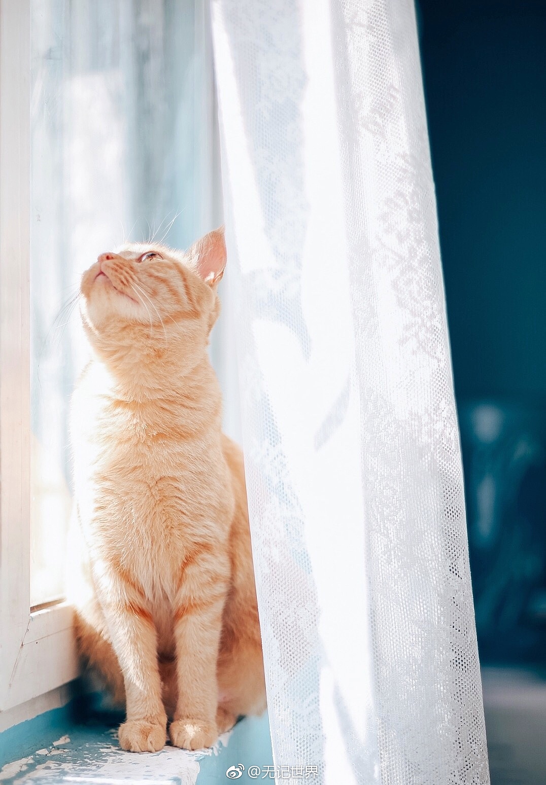 阴天和晴天.我的vikey都陪着我