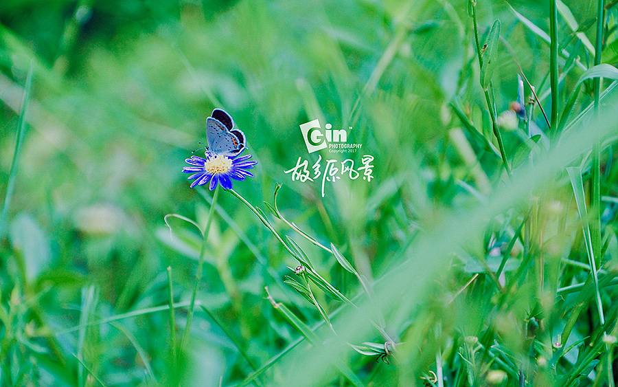 拍照 | 故乡原风景、