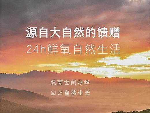 鸡蛋详情页