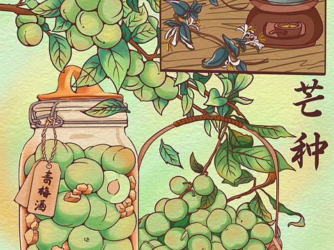 分镜插画｜二十四节气之芒种