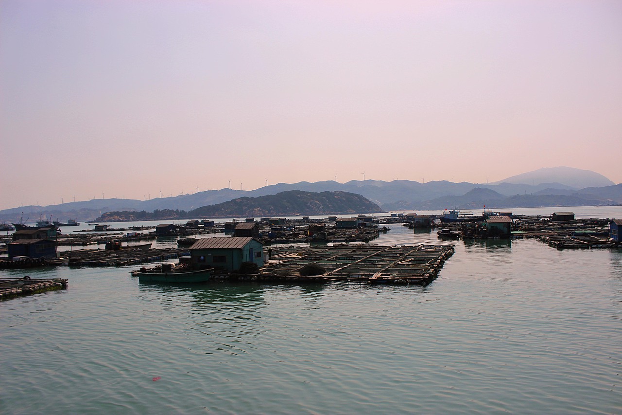 厦门旁边的浯屿岛