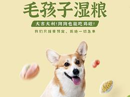 李小汪湿粮海报