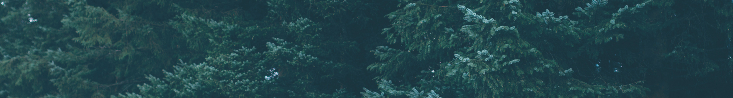 bzxxwz的个人主页（封面预览） - 主页封面设置 - 站酷设计师bzxxwz原创素材 - 站酷ZCOOL