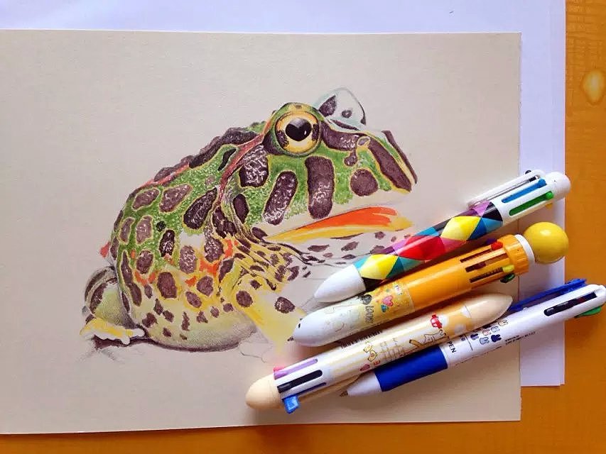 oy圆珠笔画角蛙