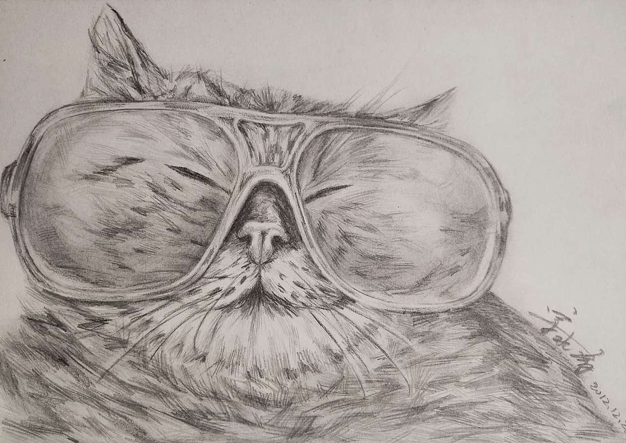 这些年画 的一些猫