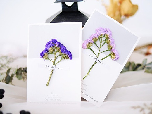 勿忘我干花明信片详情