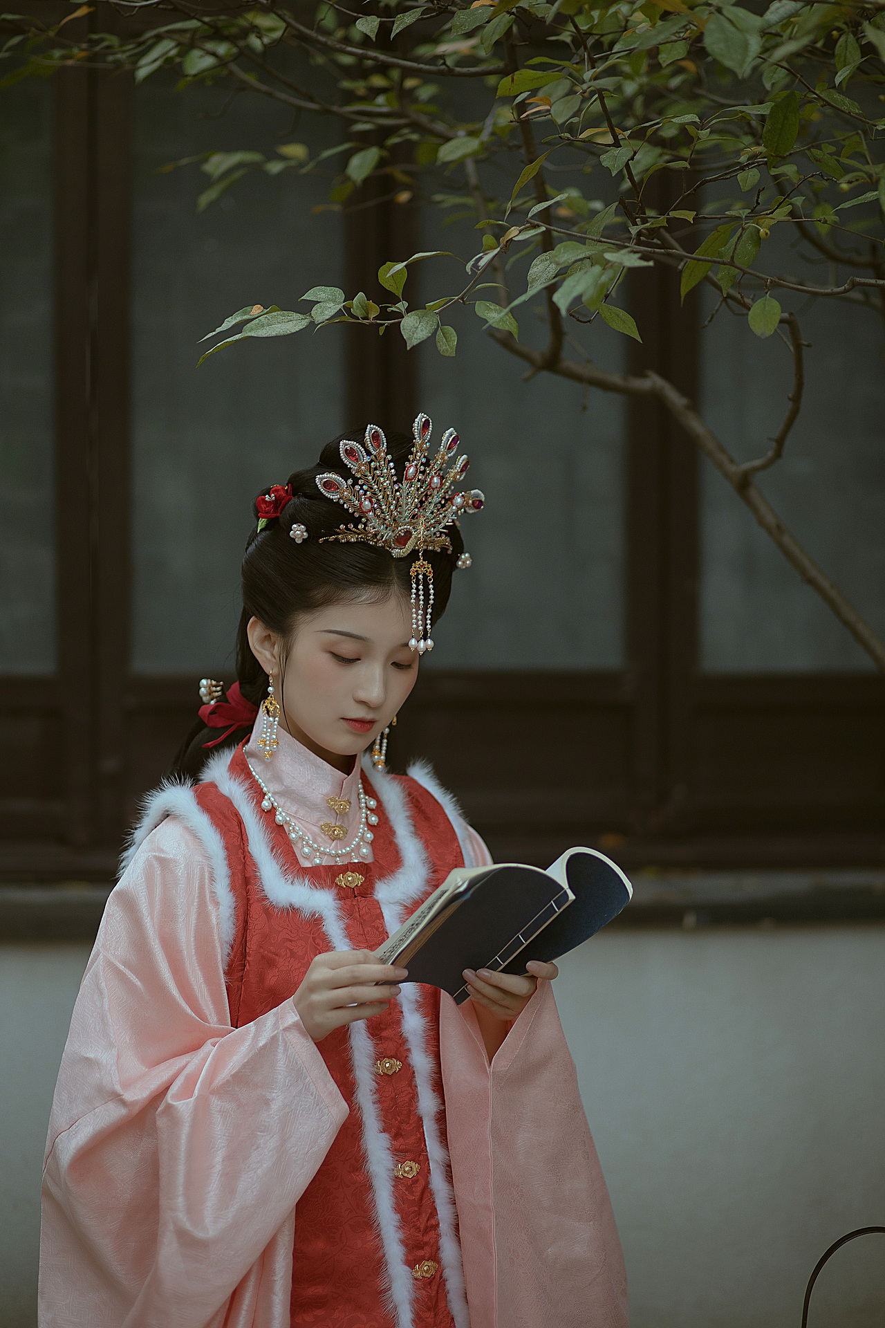 红楼遗梦_瑾年碎影的-站酷zcool