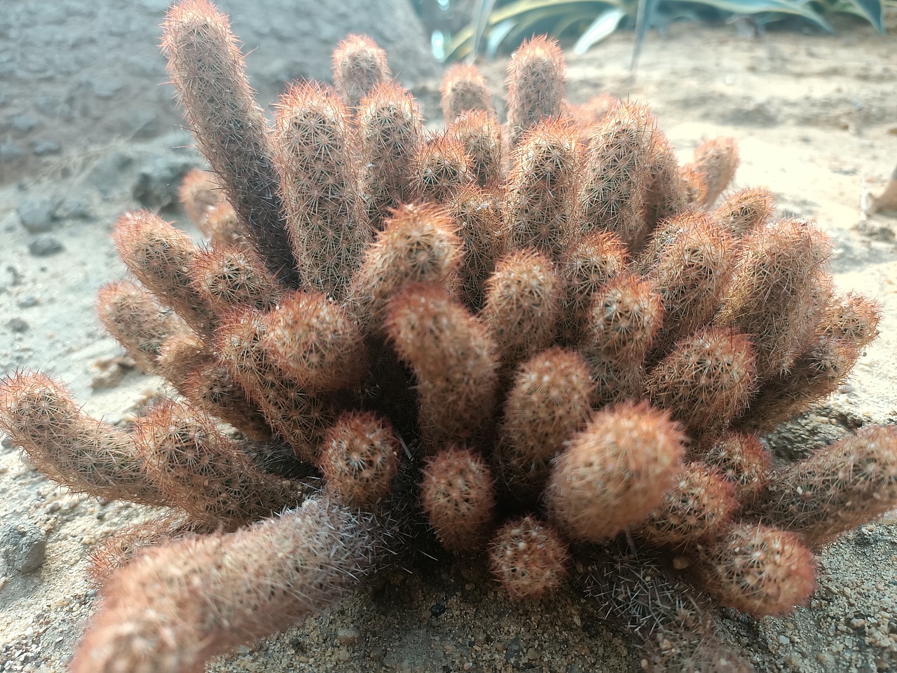 溫室（圖ZMTg3NDU3NjMy） - 產(chǎn)品攝影 - 站酷設(shè)計師言吾齋原創(chuàng)素材 - 站酷ZCOOL