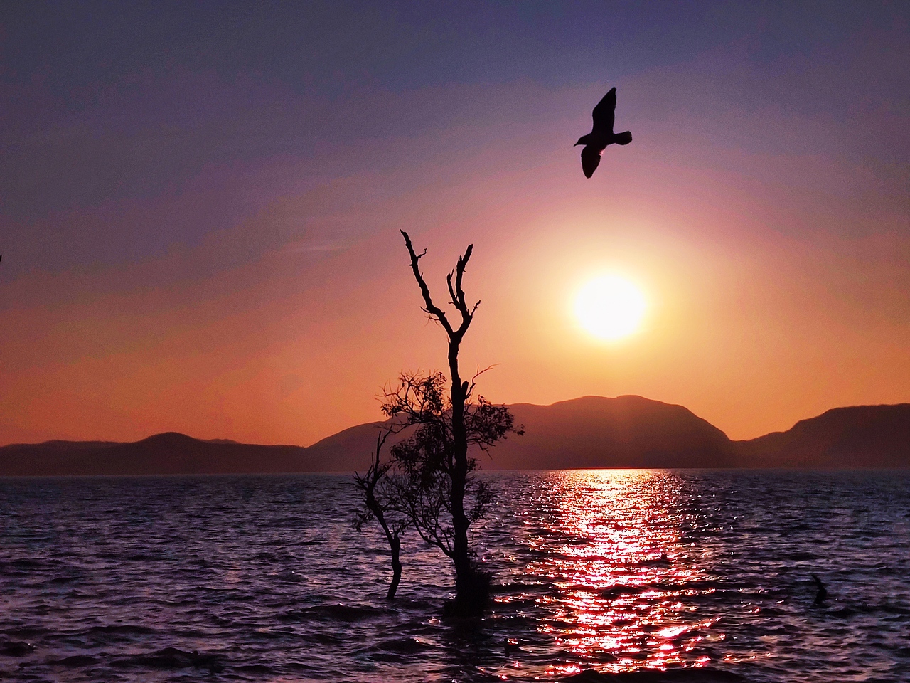 日落.春分（圖ZMjkzNTI5MDEy） - 人文/紀(jì)實攝影 - 站酷設(shè)計師雨中的余原創(chuàng)素材 - 站酷ZCOOL