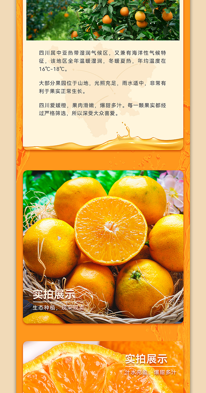 【详情页设计】农业产品-果冻橙-电商设计