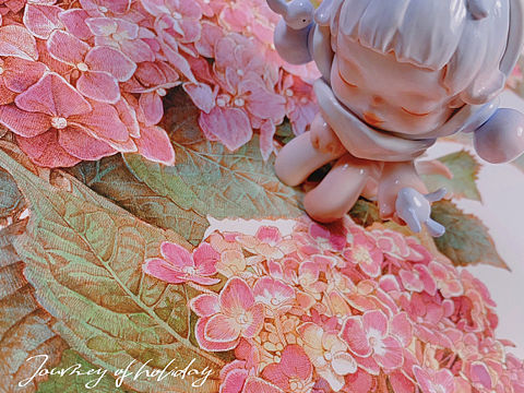 蘸水笔针管笔｜绣球花开