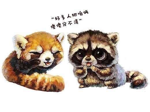 小熊猫，小浣熊，傻傻分不清楚！