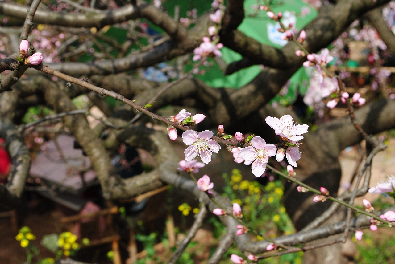 那些很美的地方不属于我（图ZNTMyMDgyMA==） - 风光摄影 - 站酷设计师欧阳紫嫣原创素材 - 站酷ZCOOL