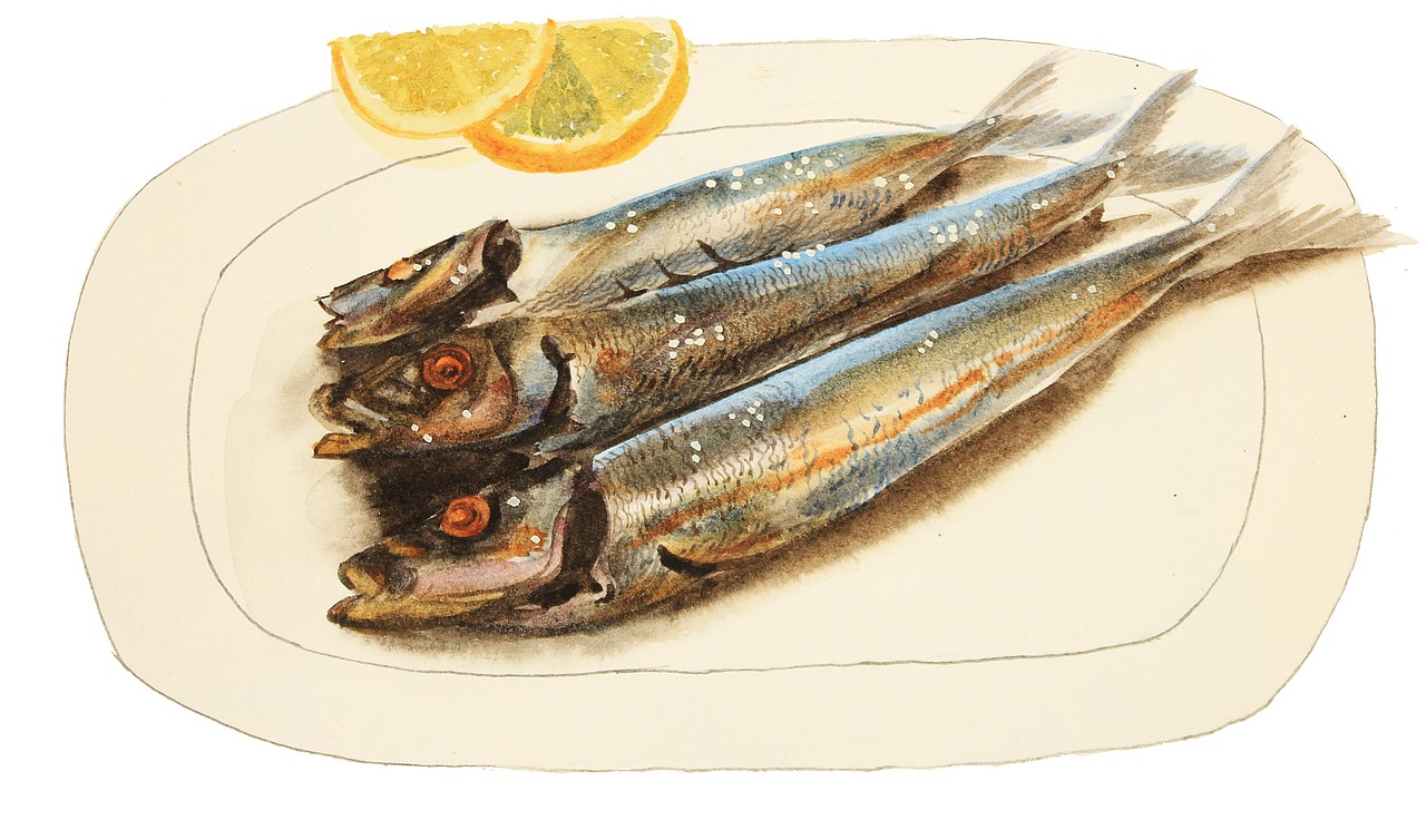 《摄影旅游》杂志日本主题（图ZMTAyNDg4MDMy） - 绘本 - 站酷设计师23h8爱生活吧原创素材 - 站酷ZCOOL