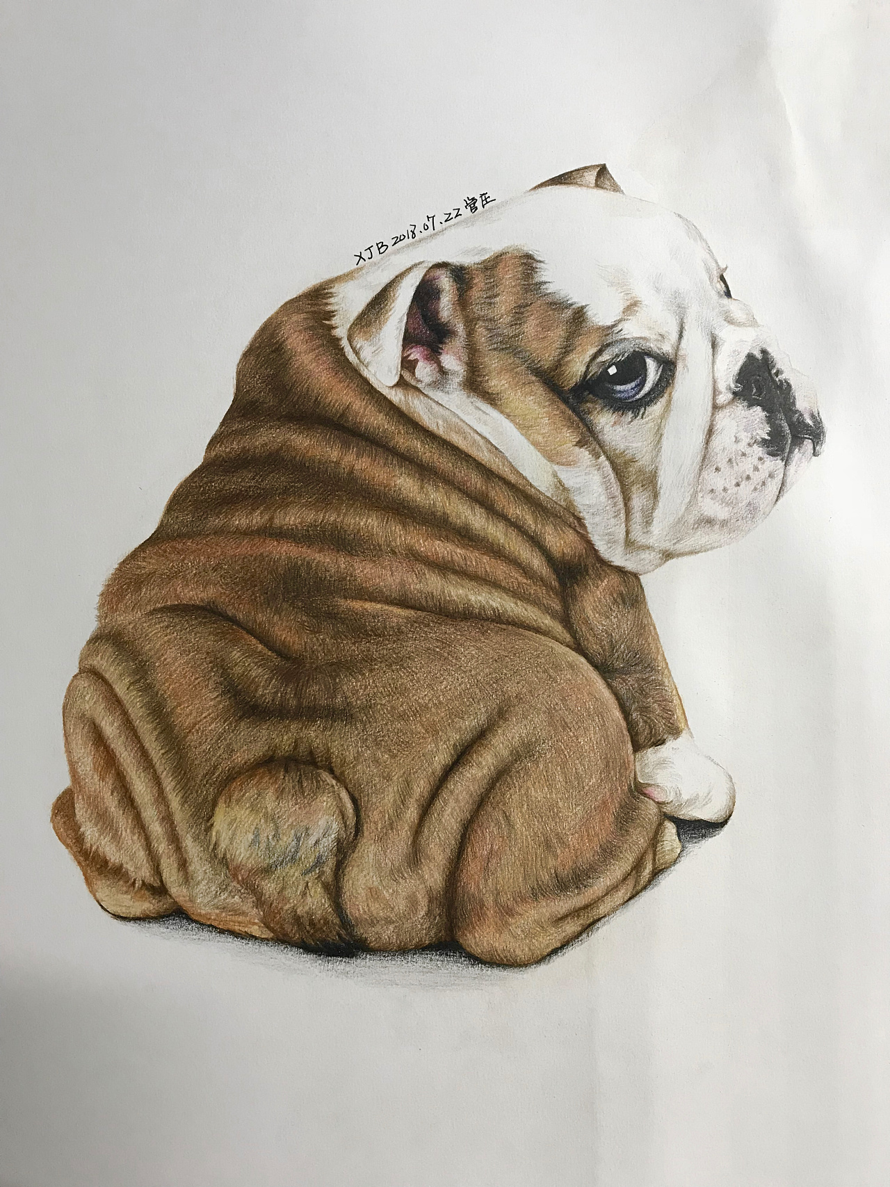 彩铅萌宠系列作品-狗