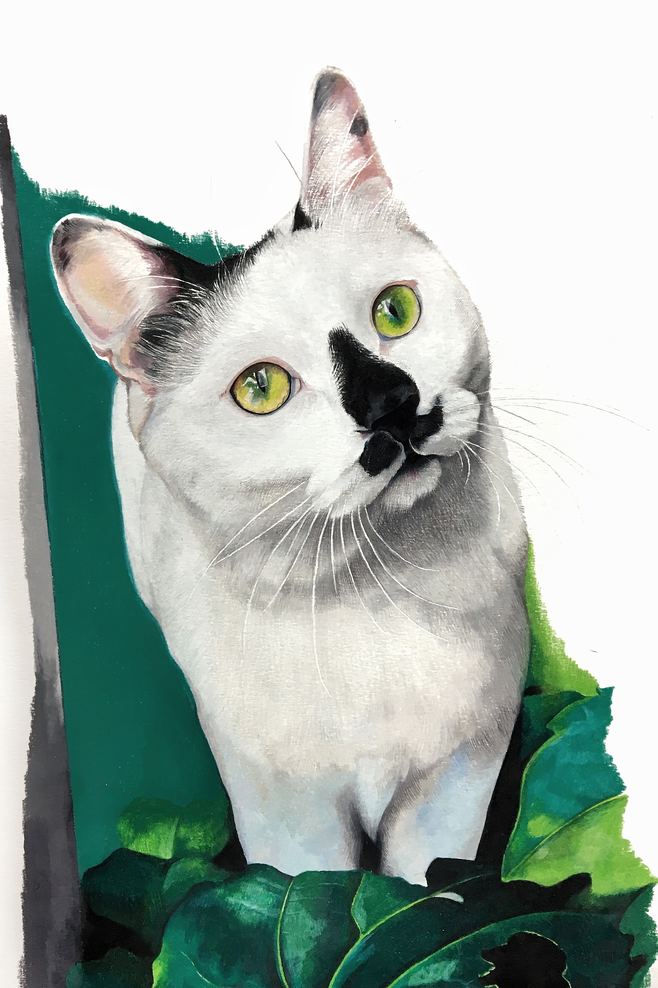 画册《观复猫 妙笔生猫非非诗》