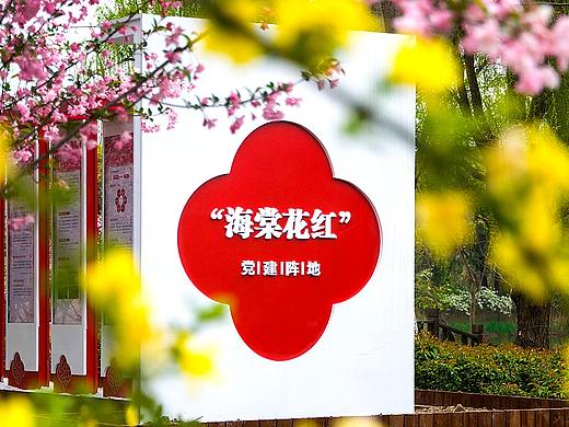 海棠花红映初心