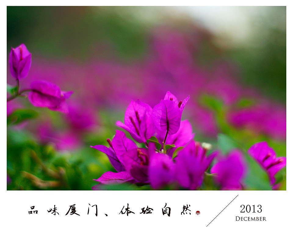 品味厦门、体验自然（图ZMTMxOTI4MzY=） - 风光摄影 - 站酷设计师KWEIYANG原创素材 - 站酷ZCOOL