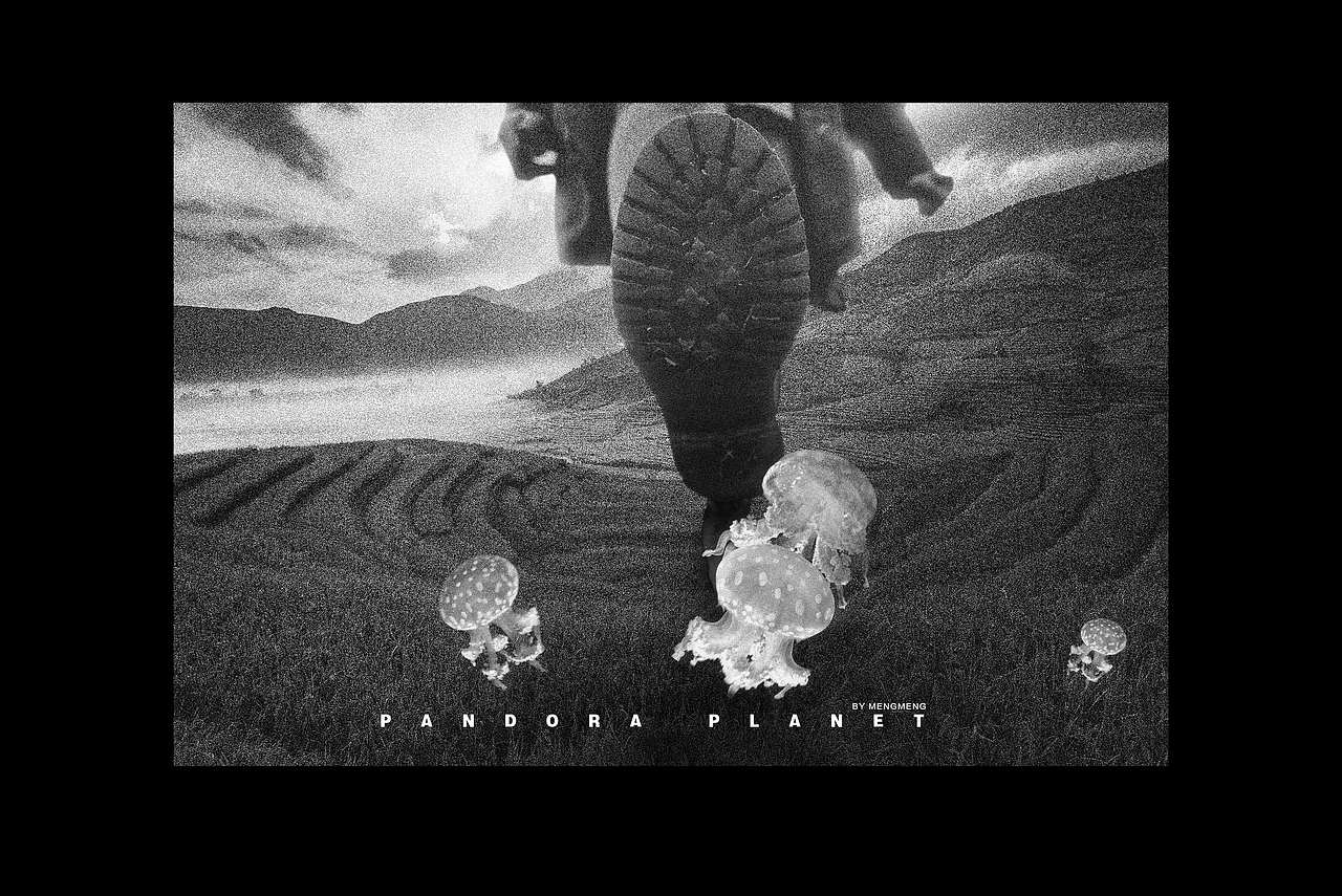 PANDORE PLANET（一）（图ZMTgwODcwMTQw） - 海报 - 站酷设计师蒙蒙颜原创素材 - 站酷ZCOOL