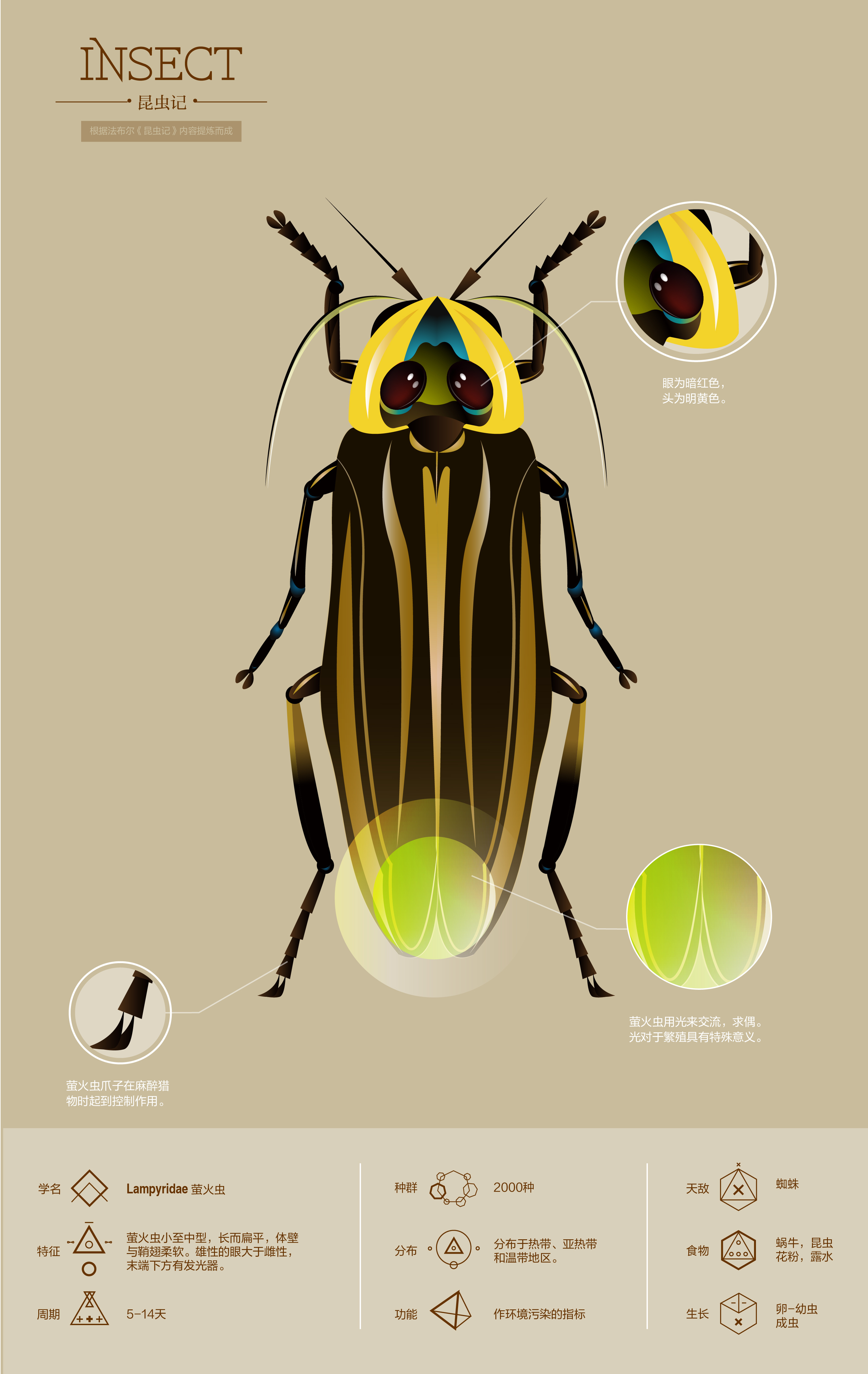 中科院在浙江丽水发现甲壳虫新物种，被命名为“九龙奇腿蚁甲”_湿地_公园_萤火虫