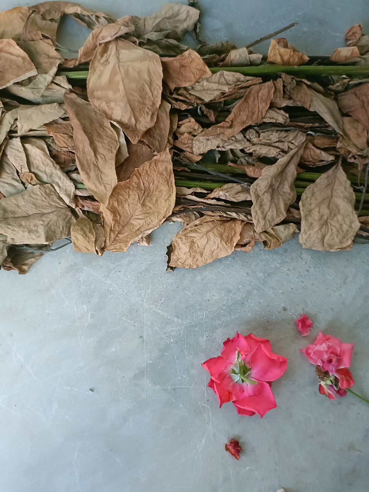 《心泛起了涟漪》