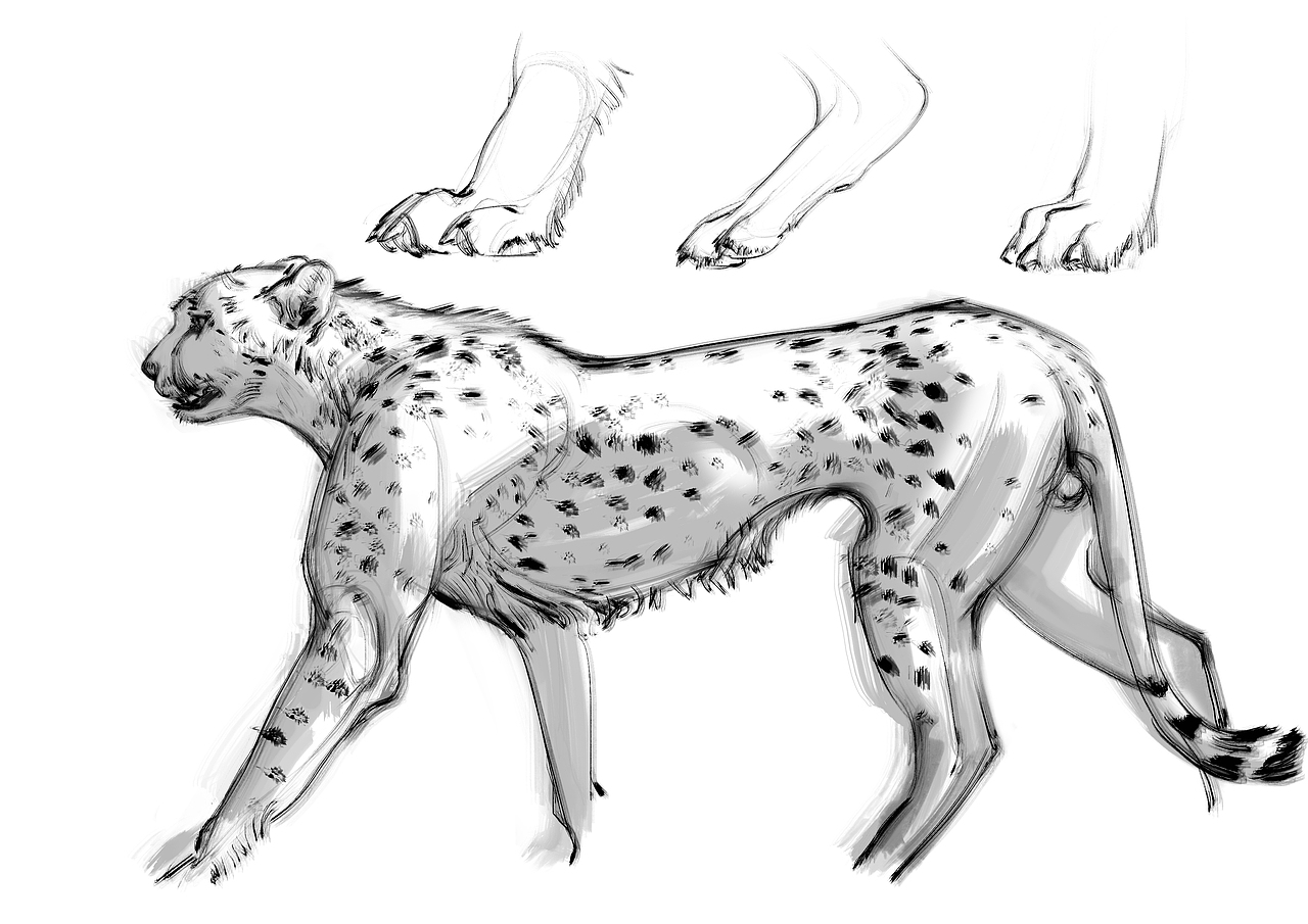 画着开心（图ZMTU1MTk5NDIw） - 其他 - 站酷设计师fwrao原创素材 - 站酷ZCOOL