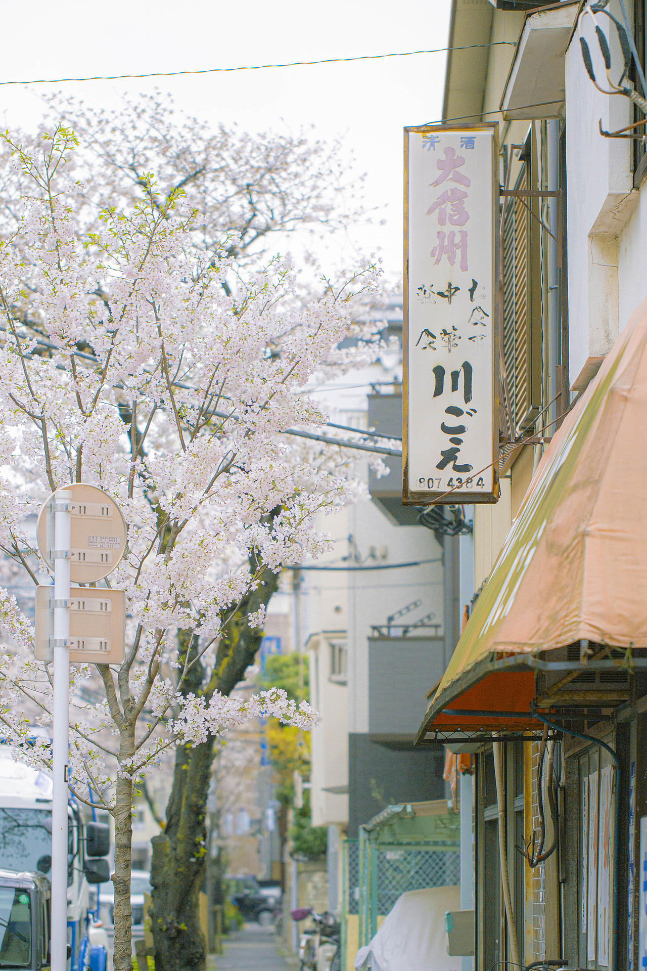 秒速5厘米（图ZMjQ5MzkxODYw） - 人文/纪实摄影 - 站酷设计师阳光呀阳光你别走原创素材 - 站酷ZCOOL