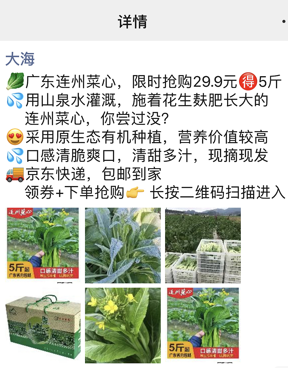 连州菜心品牌推广（图ZMjUwNjA0NjQw） - 品牌 - 站酷设计师张贤杪原创素材 - 站酷ZCOOL