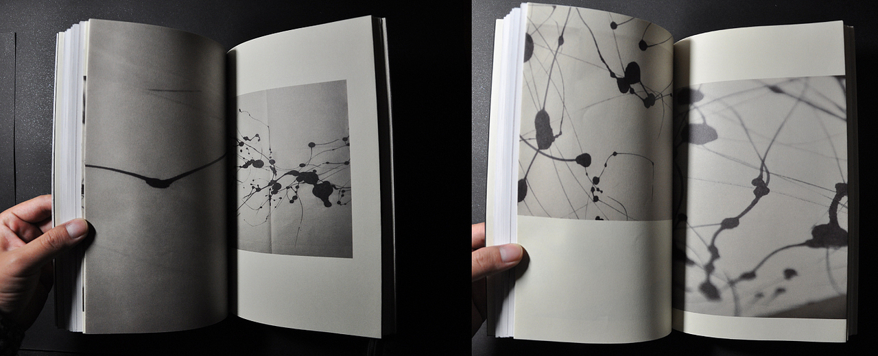 自然的痕迹 —— 迟来的毕业设计