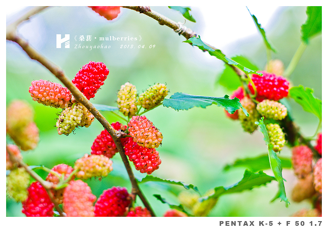 《桑葚.mulberries》（图ZODk2MDM5Mg==） - 产品摄影 - 站酷设计师haodychou原创素材 - 站酷ZCOOL