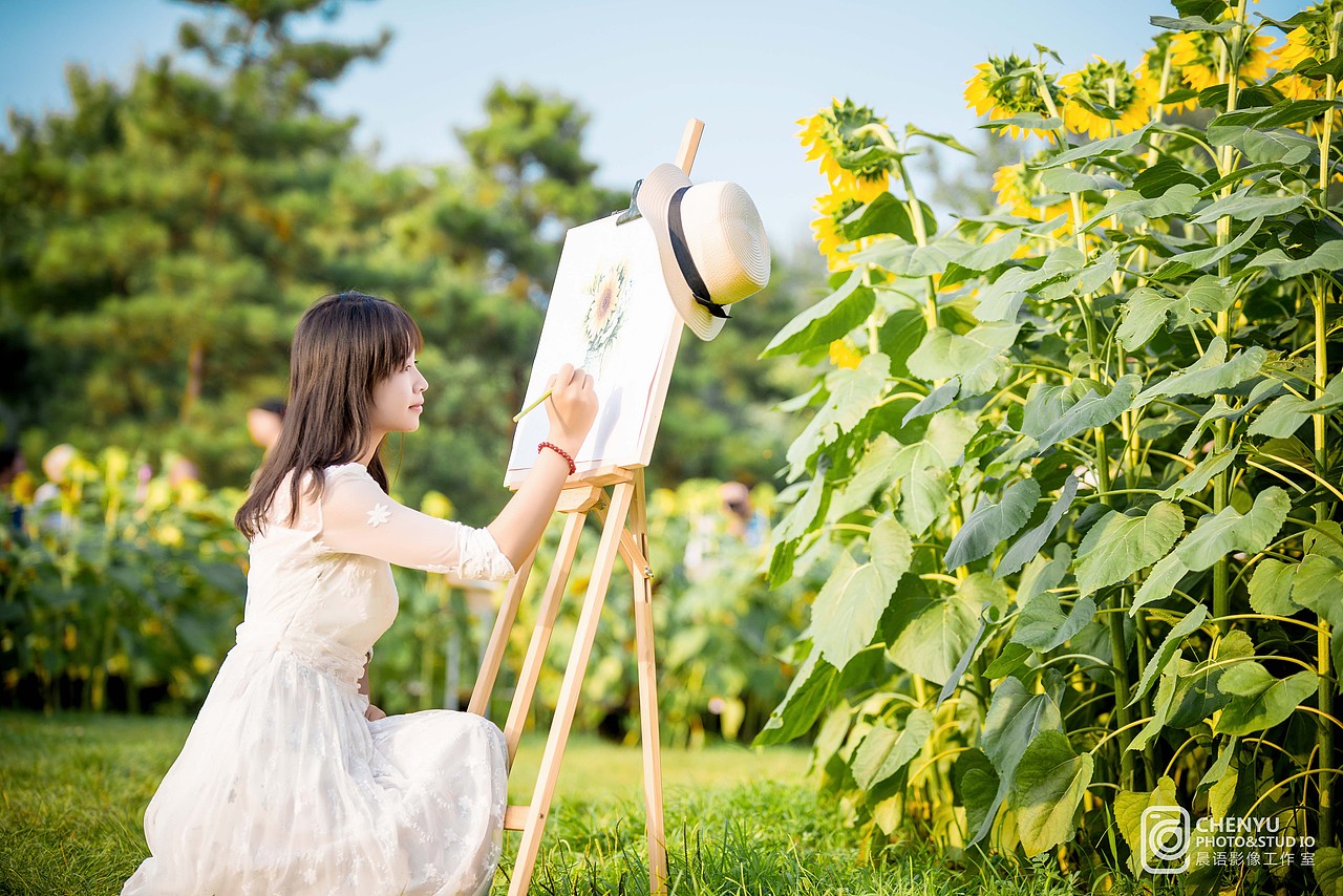 《向日葵的约定》
