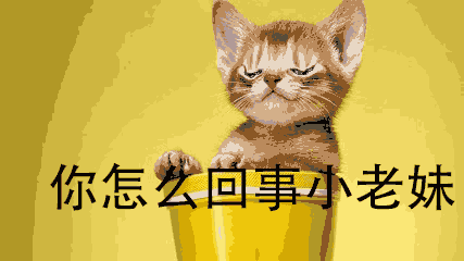 小动图（图ZMTI4NjkzODg0） - 图案 - 站酷设计师Heooomo原创素材 - 站酷ZCOOL