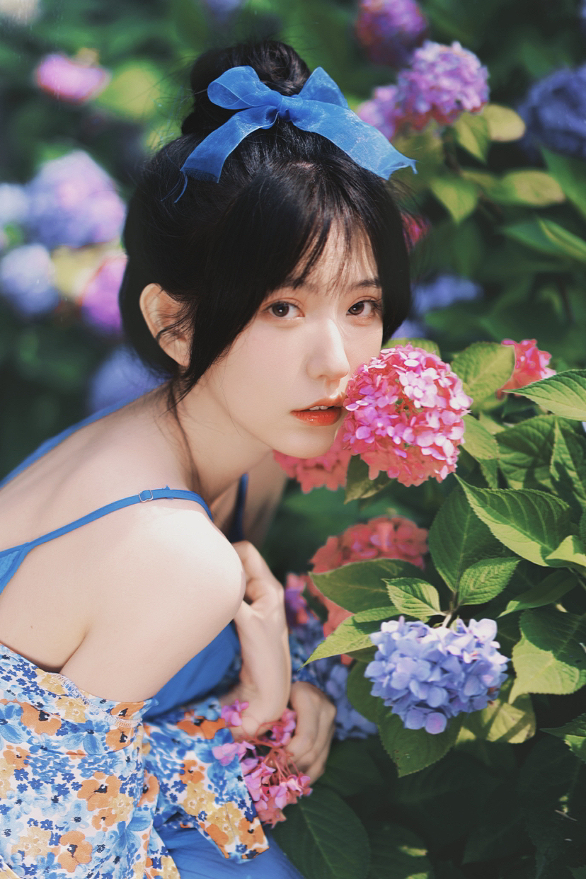 绣球花写真