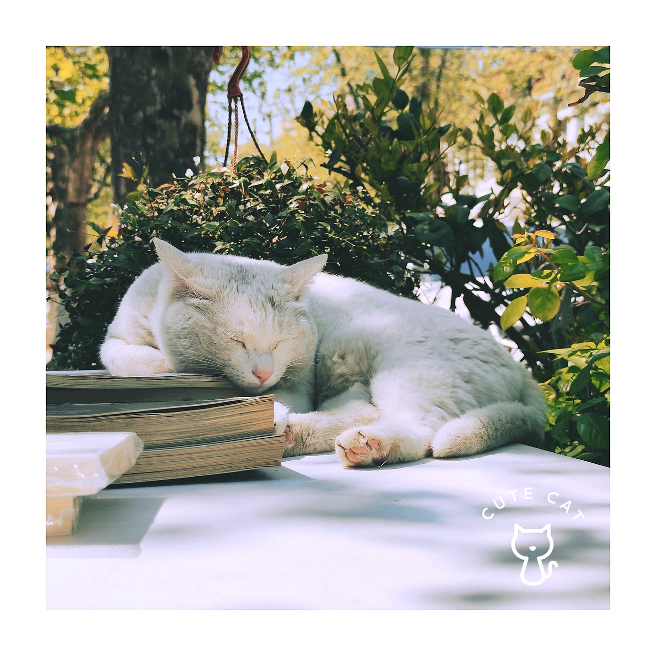 随记（图ZMjU2MDU5ODk2） - 人文/纪实摄影 - 站酷设计师非鱼子鹿原创素材 - 站酷ZCOOL