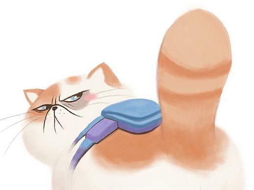 临摹 猫