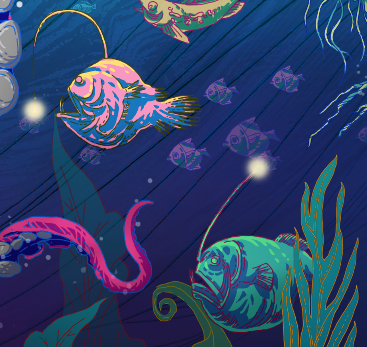 小外甥的海底世界（图ZMTMzNDI4NjMy） - 创作习作 - 站酷设计师F北川原创素材 - 站酷ZCOOL