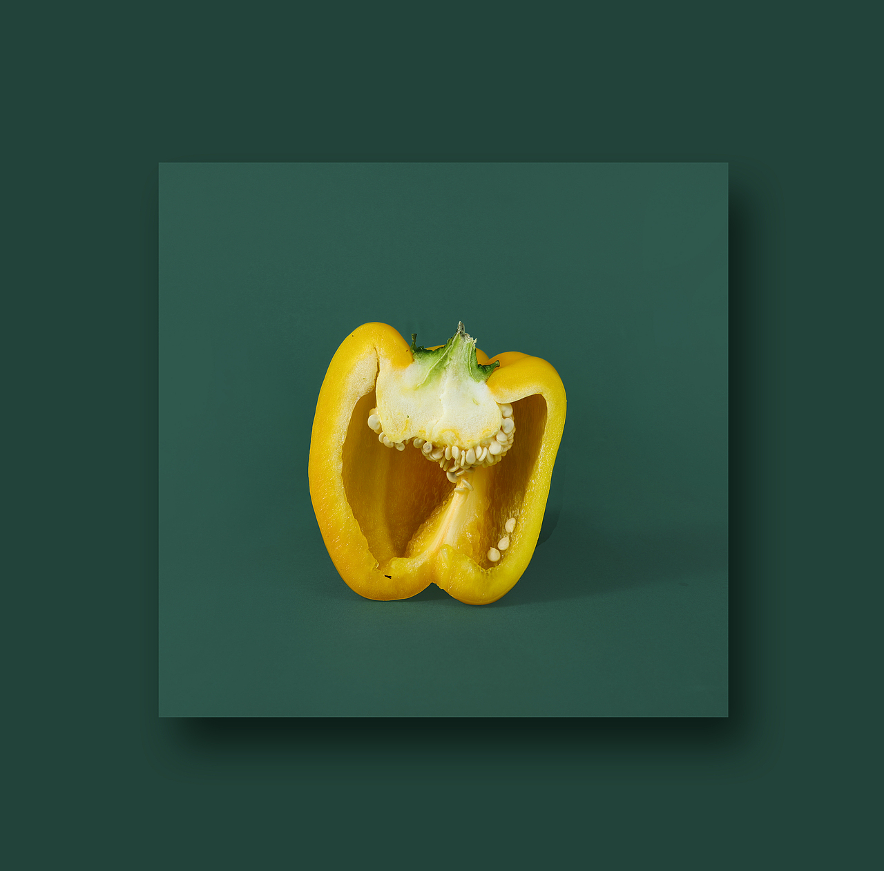 创意摄影蔬菜的艺术画像