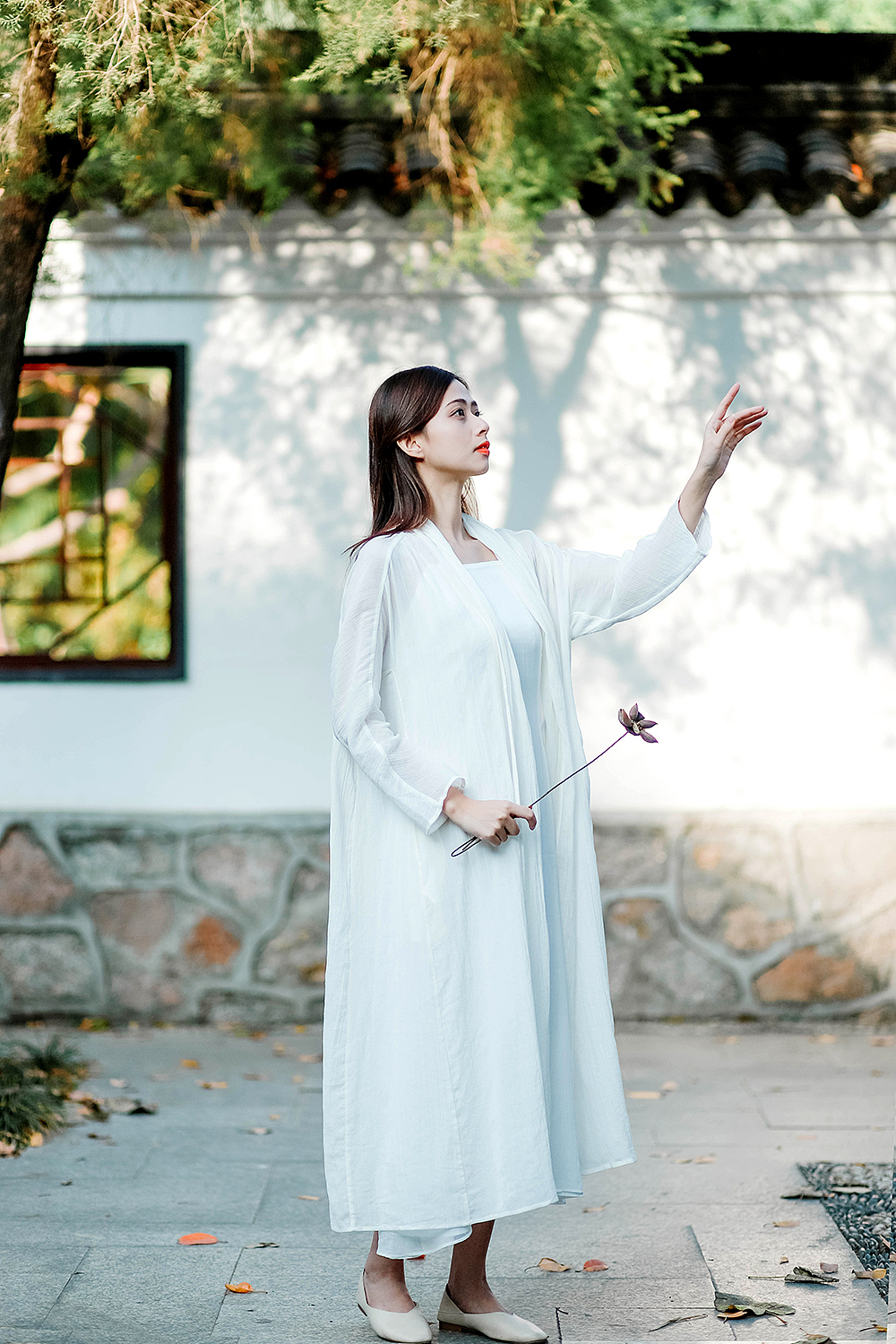 冬日的一缕阳光